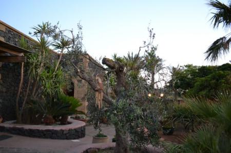 Ilha Preta Bed & Breakfast