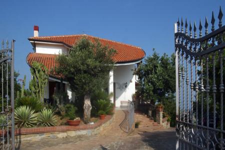 IL FALCO DEL CILENTO