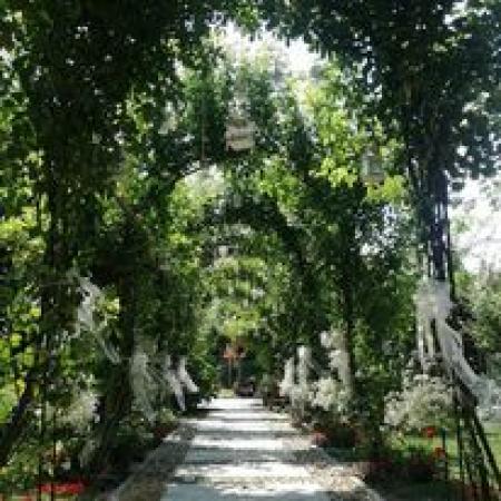 La Vià di Bertone Piergiorgio