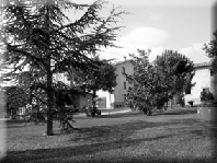 Agriturismo Cignanbianco Di Carlino Virgilio