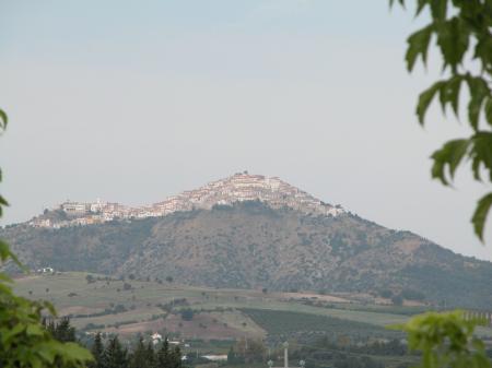 Agriturismo La Collinetta
