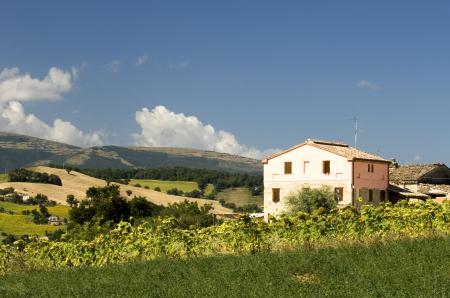 Agriturismo Colle Regnano