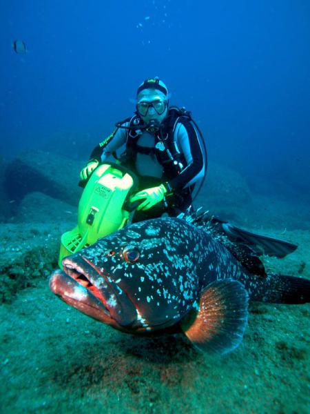 Orso Diving Orso Diving
