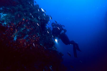 Il Faro diving center Il Faro diving center