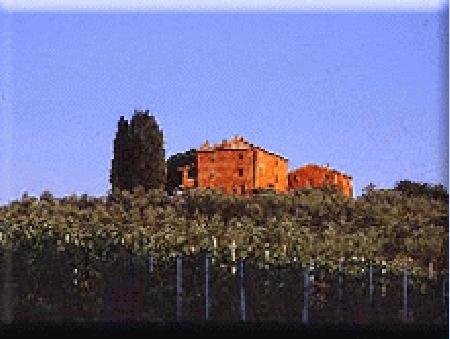 CIVETTAIO