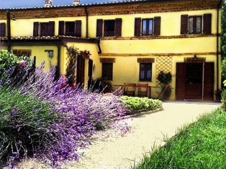 B & B Garden Corner