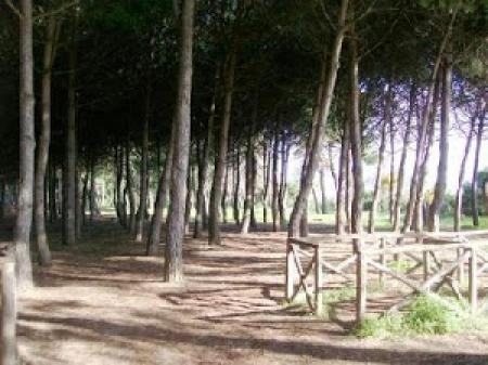 Affittuario privato AbruzzoVillaMare_winter Affittuario privato AbruzzoVillaMare_winter