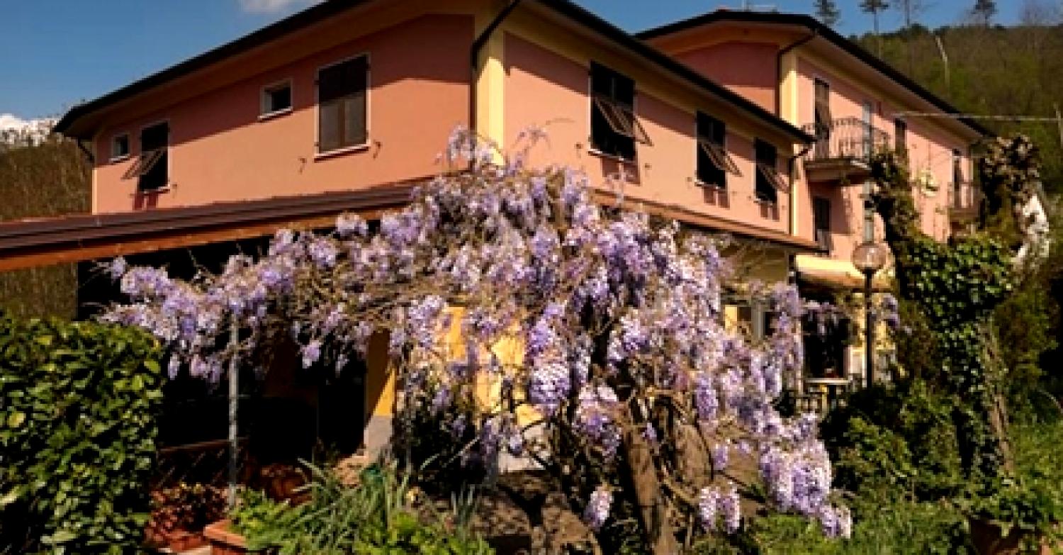 Le Rondini Le Rondini