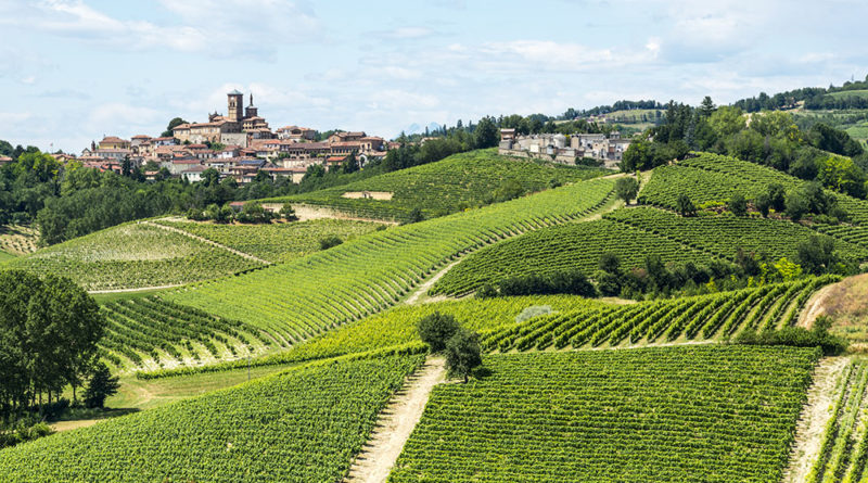 Pansion Cuneo