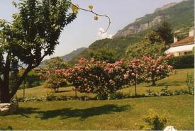 14-1507-11059 Bed & Breakfast Bed And Breakfast la Betulla