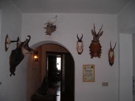 14-3037-322 Affittuario privato Haus Hohenrain