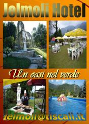 Pansion Wellness