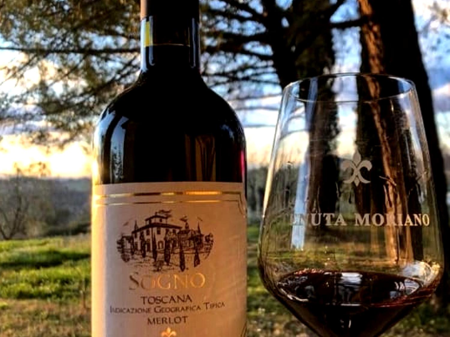 Tenuta Moriano