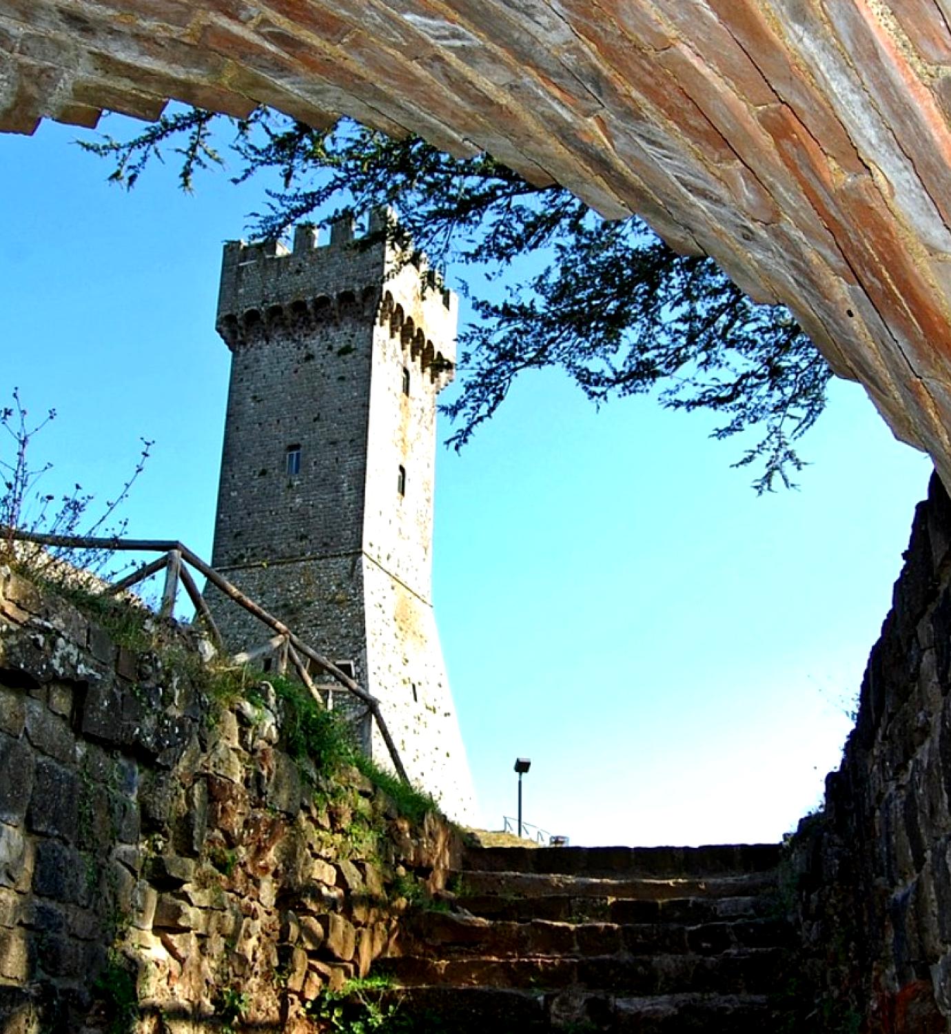 50-6852.jpg